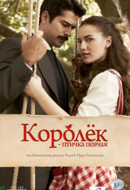 Королёк - птичка певчая Королёк - птичка певчая